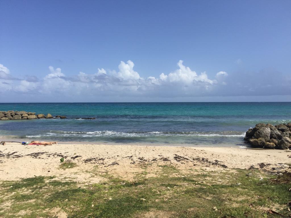 شقة لو جوسيير  في Location Guadeloupe المظهر الخارجي الصورة